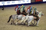 Quadrille - 00299